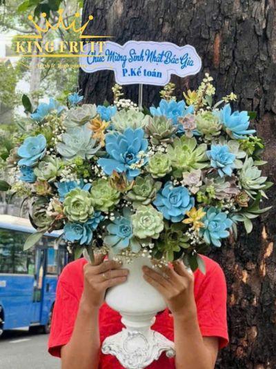 Bình hoa sen đá - Vạn điều thăng tiến