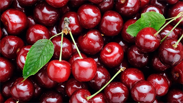 Quả cherry