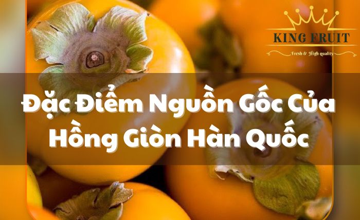 Đặc điểm và nguồn gốc của hồng giòn Hàn Quốc