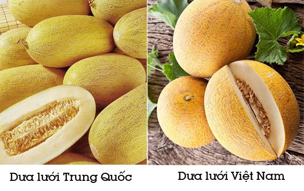 dua luoi viet nam va dua luoi trung quoc