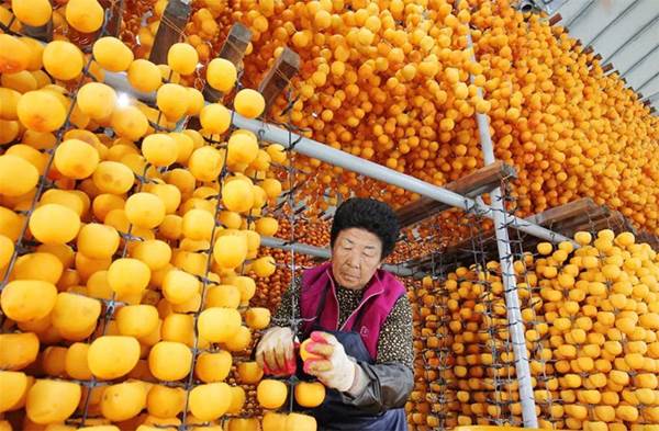 Đầu tiên chọn những quả hồng có bề mặt màu cam, cứng, và còn cuống