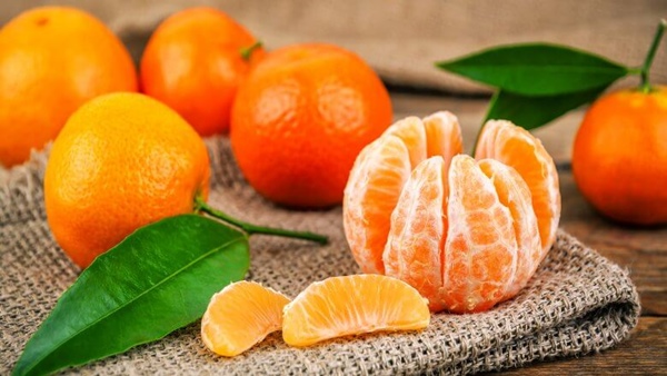 Quýt chứa axit citric, gây kích ứng niêm mạc và có thể làm hỏng men răng