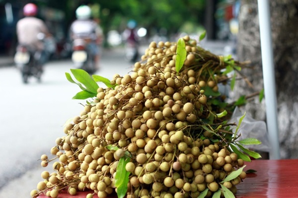 Nơi bán nhãn uy tín