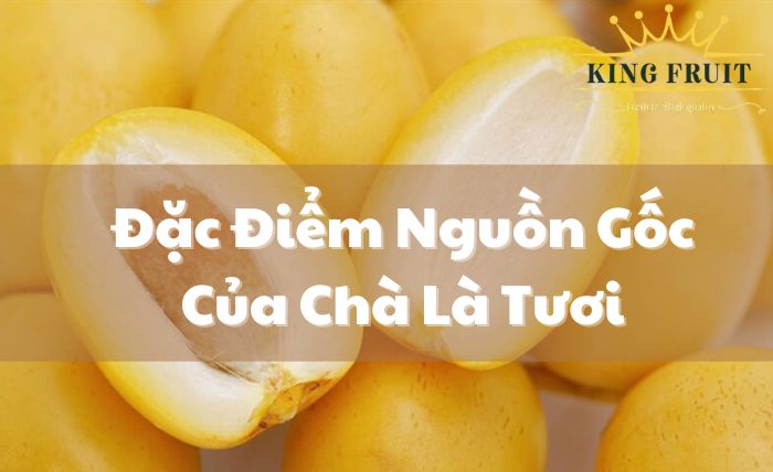 Đặc điểm nguồn gốc của chà là tươi