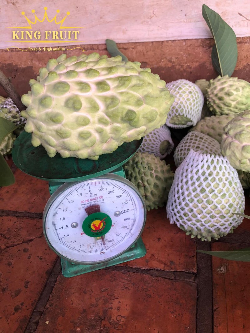 Giá na Đài Loan bao nhiêu 1kg