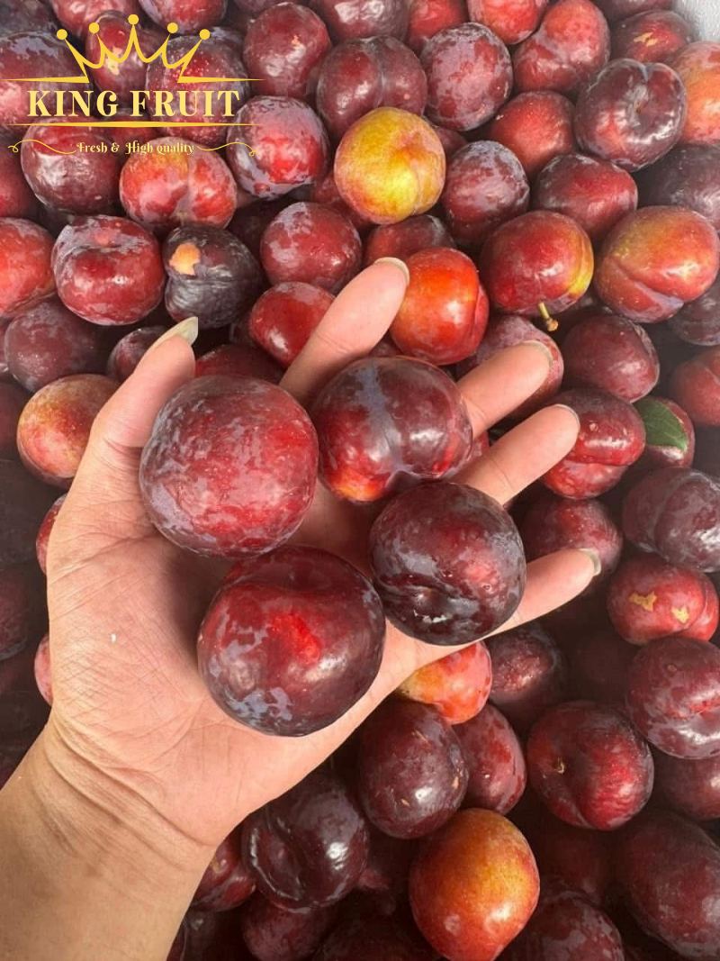 Kinh nghiệm chọn mua và bảo quản mận ruột vàng
