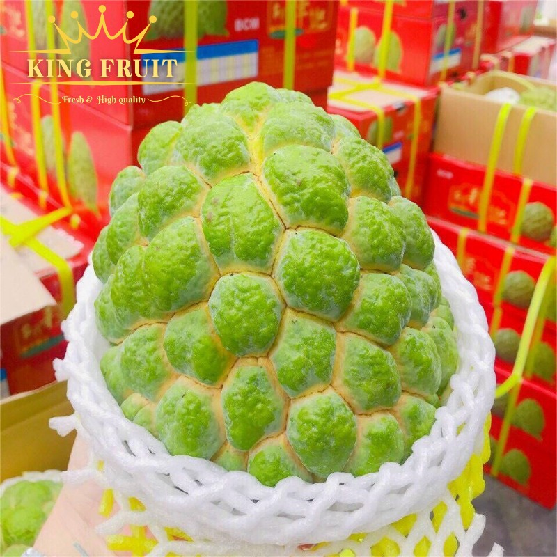 Na bở Đài Loan