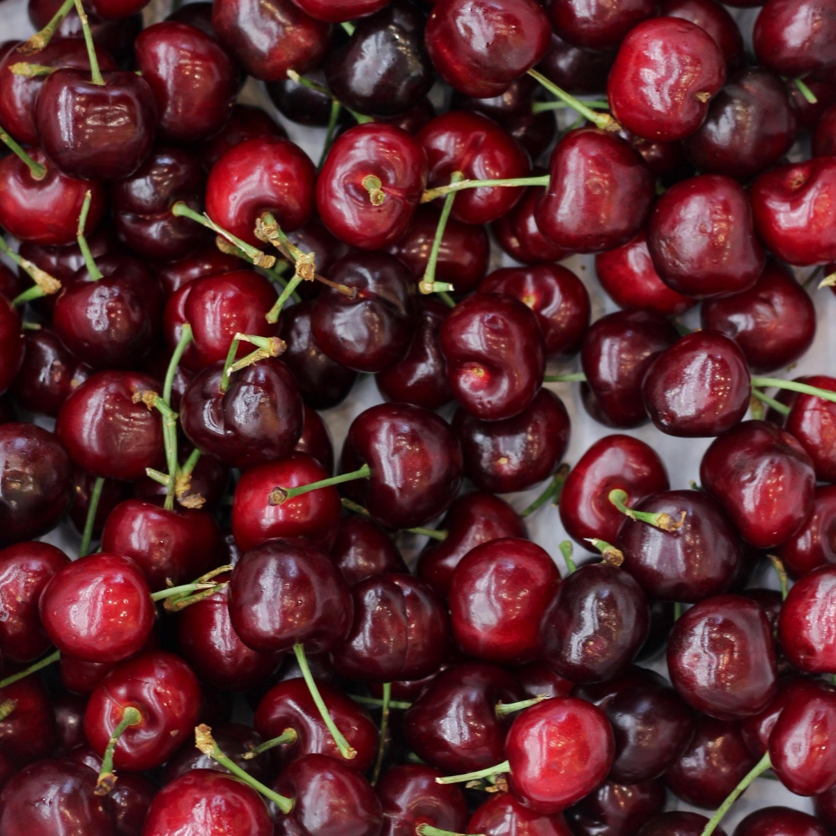 Giá Cherry Úc bao nhiêu 1 kg