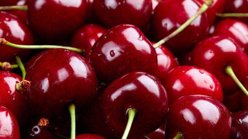 Vỏ quả Cherry Úc