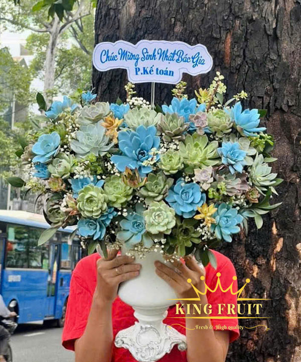 Bình hoa sen đá - Vạn điều thăng tiến