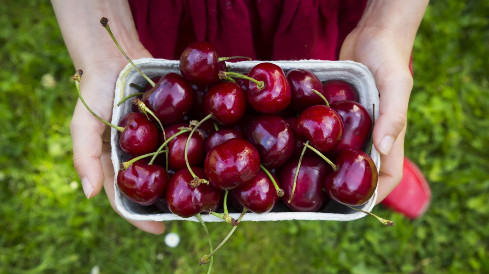 Tặng hoa trái cây cherry độc đáo