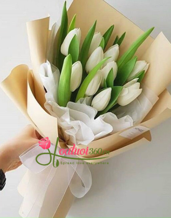 Bó hoa tulip trắng - Duyên dáng