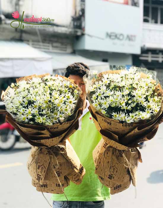 Bó hoa cúc họa mi - Hà Nôi mùa thay lá