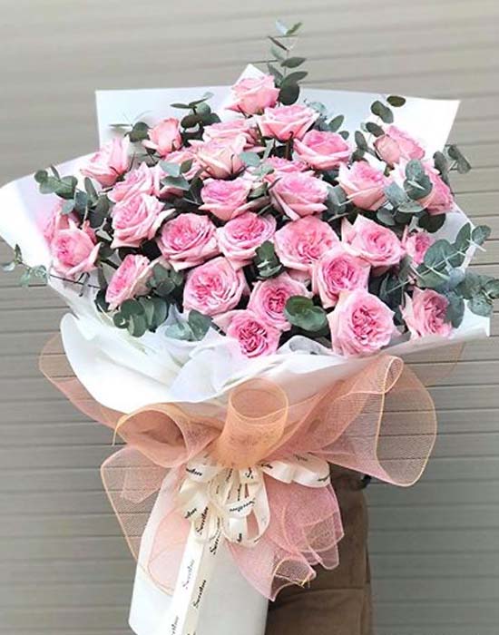 Bó hồng Ohara - Đêm tuyệt vời