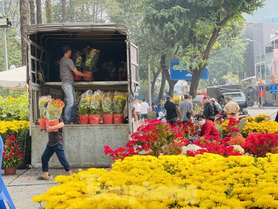 Chợ hoa Tết - Công viên 23/9